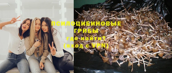 кокс Семёнов