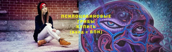 трава Абаза