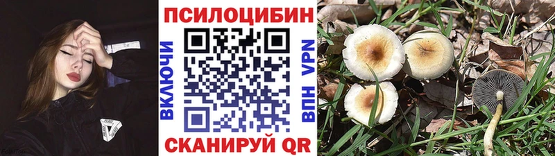 Псилоцибиновые грибы GOLDEN TEACHER Лабытнанги