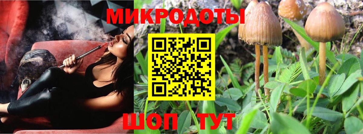 Лабытнанги  Галлюциногенные грибы Psilocybe  Вход с VPN 